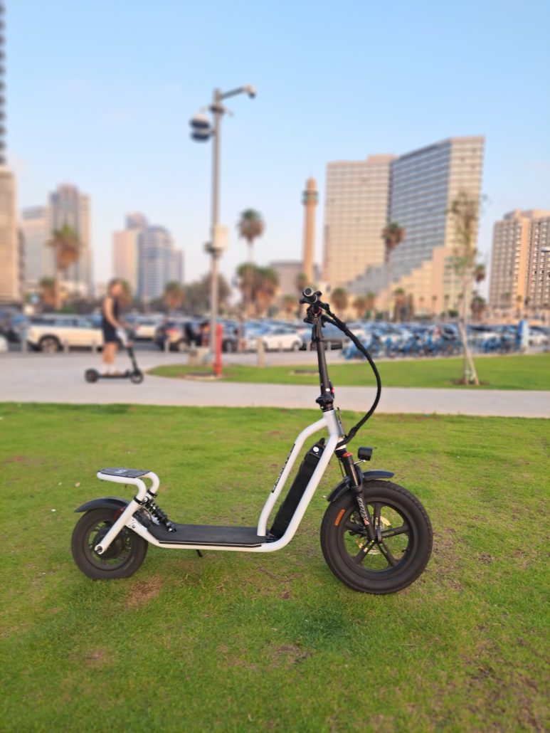 קורקינט אמין