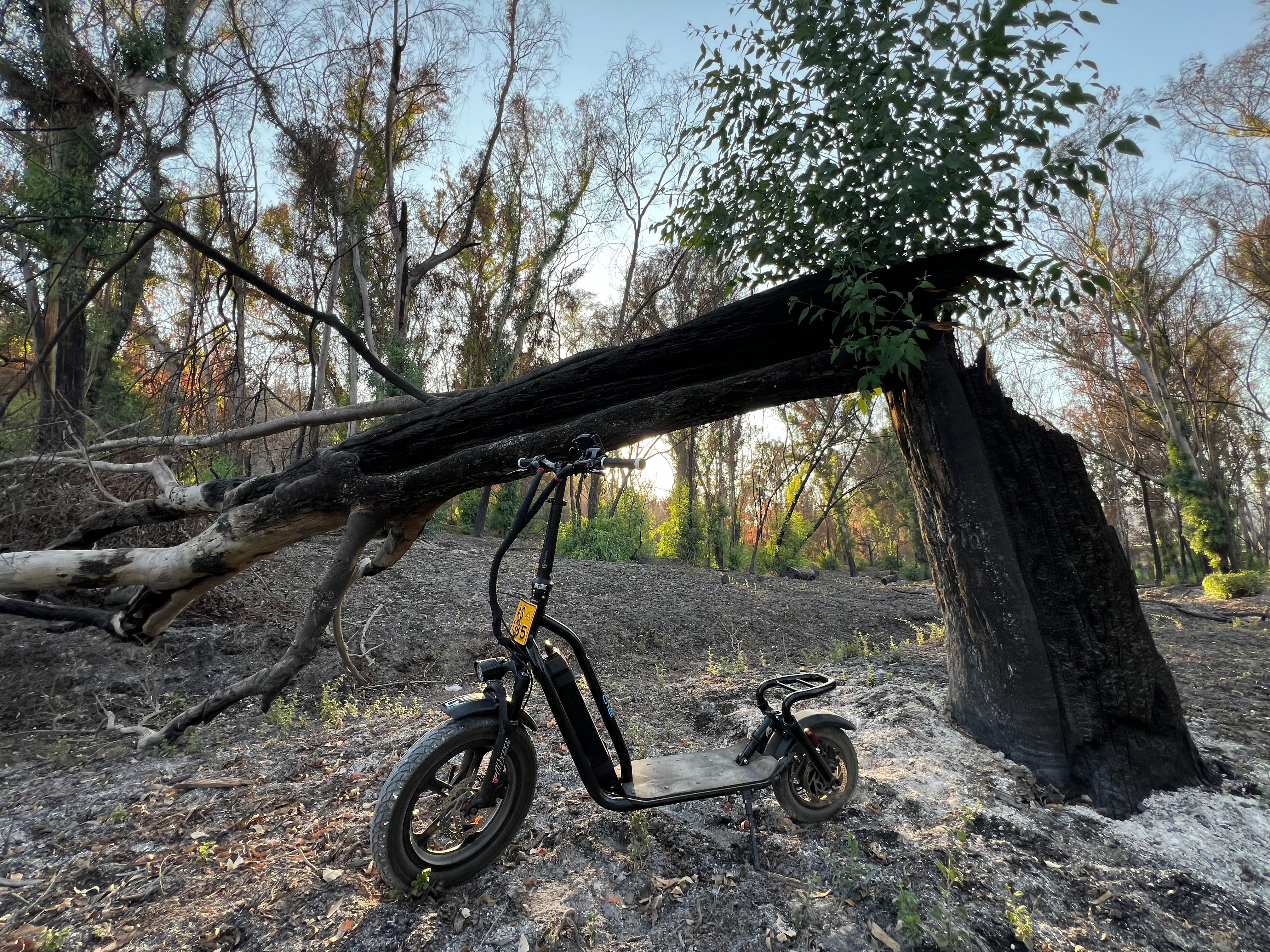 קורקינט לשטח